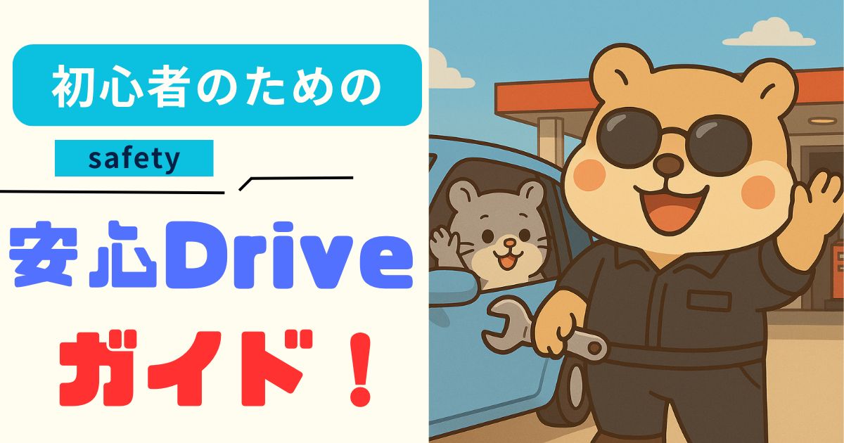 ****初心者のための安心Driveガイド****